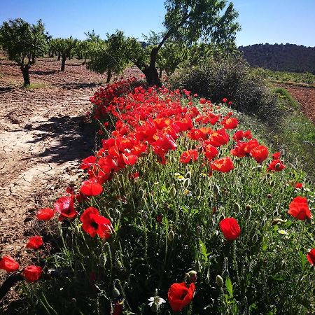 Cortijo Los Soledad El Sauco エクステリア 写真