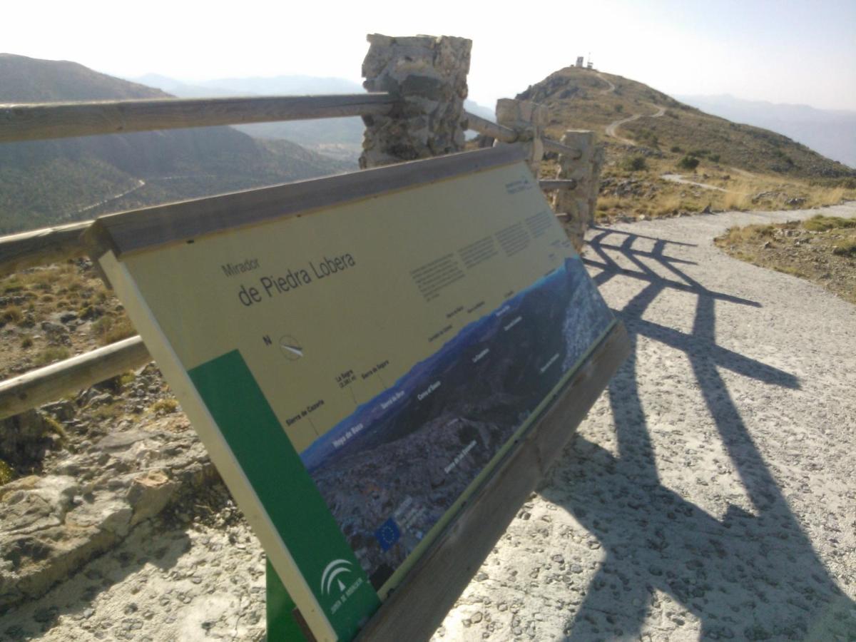 Cortijo Los Soledad El Sauco エクステリア 写真