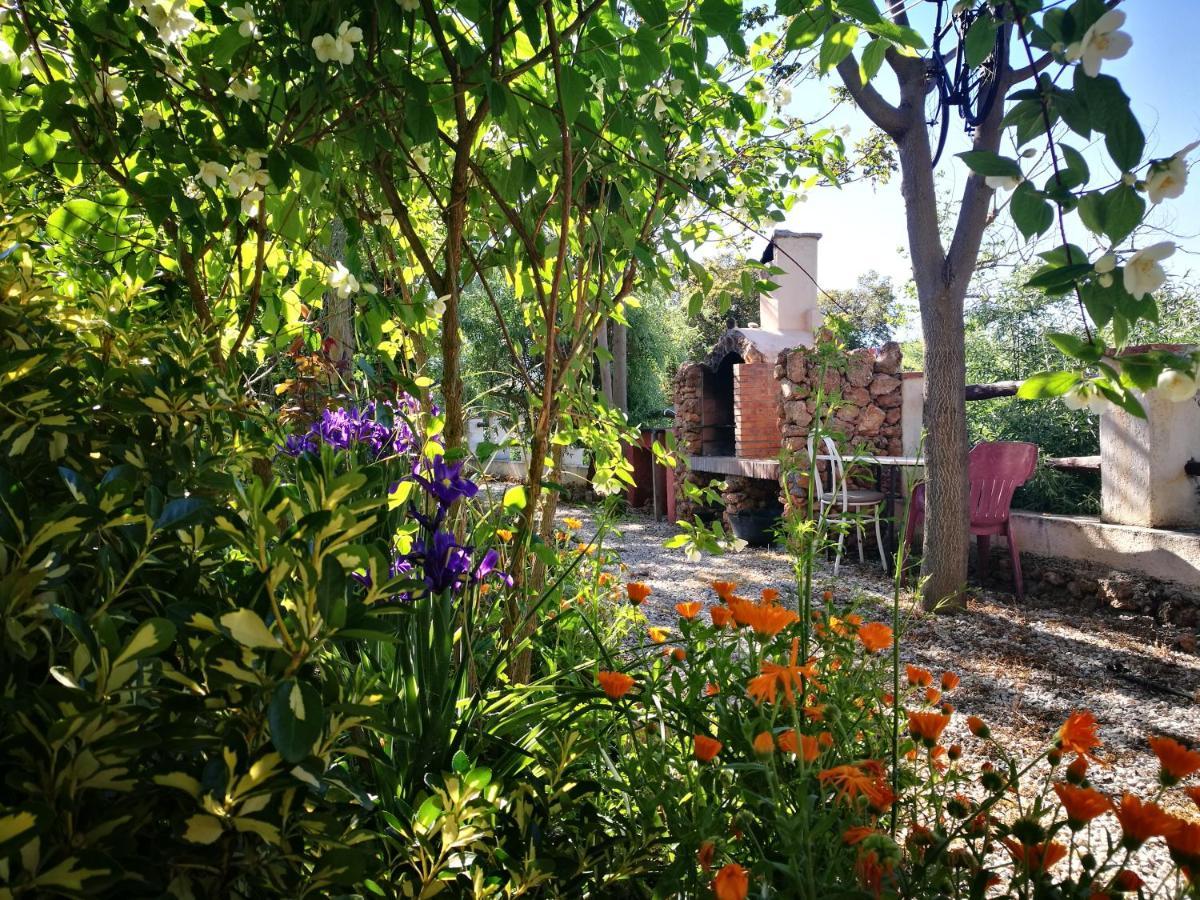 Cortijo Los Soledad El Sauco エクステリア 写真