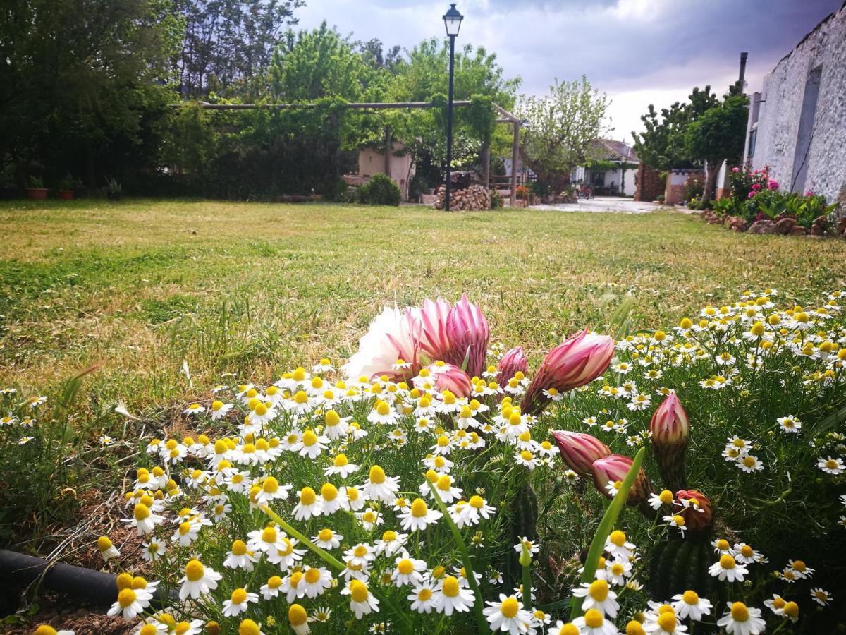 Cortijo Los Soledad El Sauco エクステリア 写真
