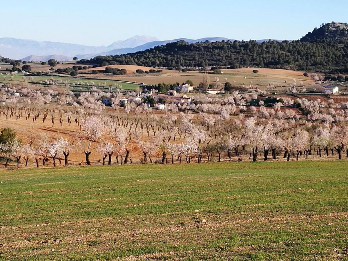 Cortijo Los Soledad El Sauco エクステリア 写真