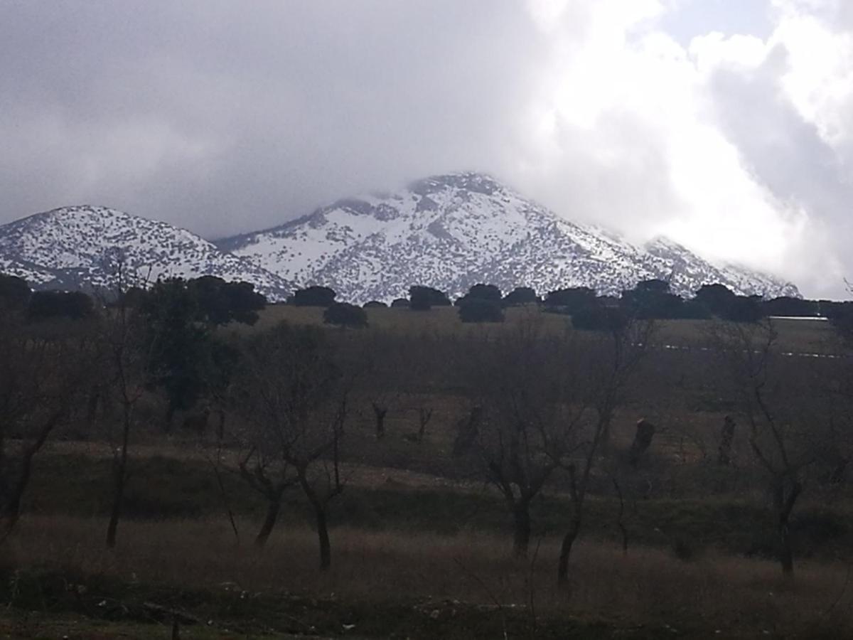 Cortijo Los Soledad El Sauco エクステリア 写真