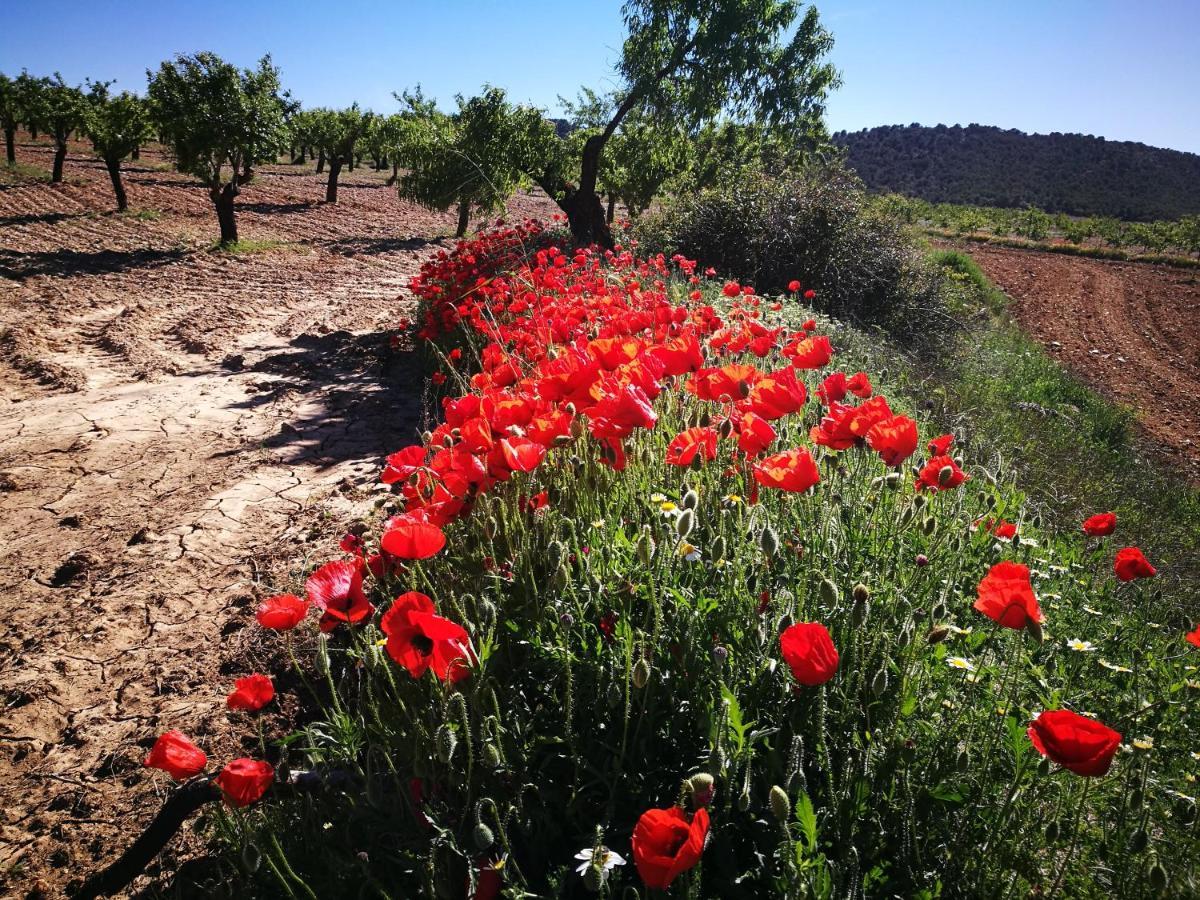 Cortijo Los Soledad El Sauco エクステリア 写真