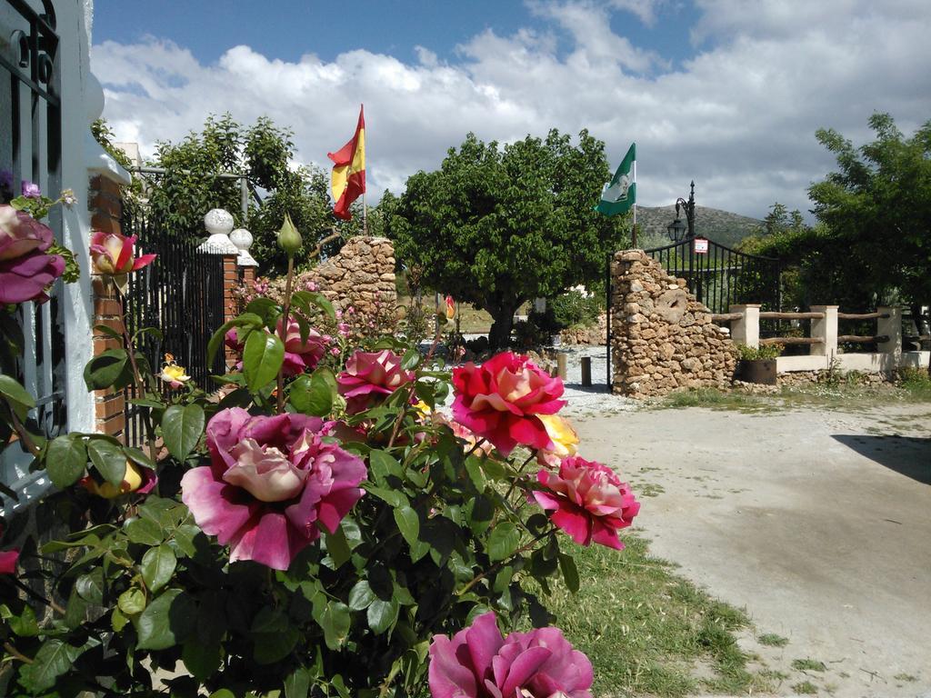 Cortijo Los Soledad El Sauco エクステリア 写真