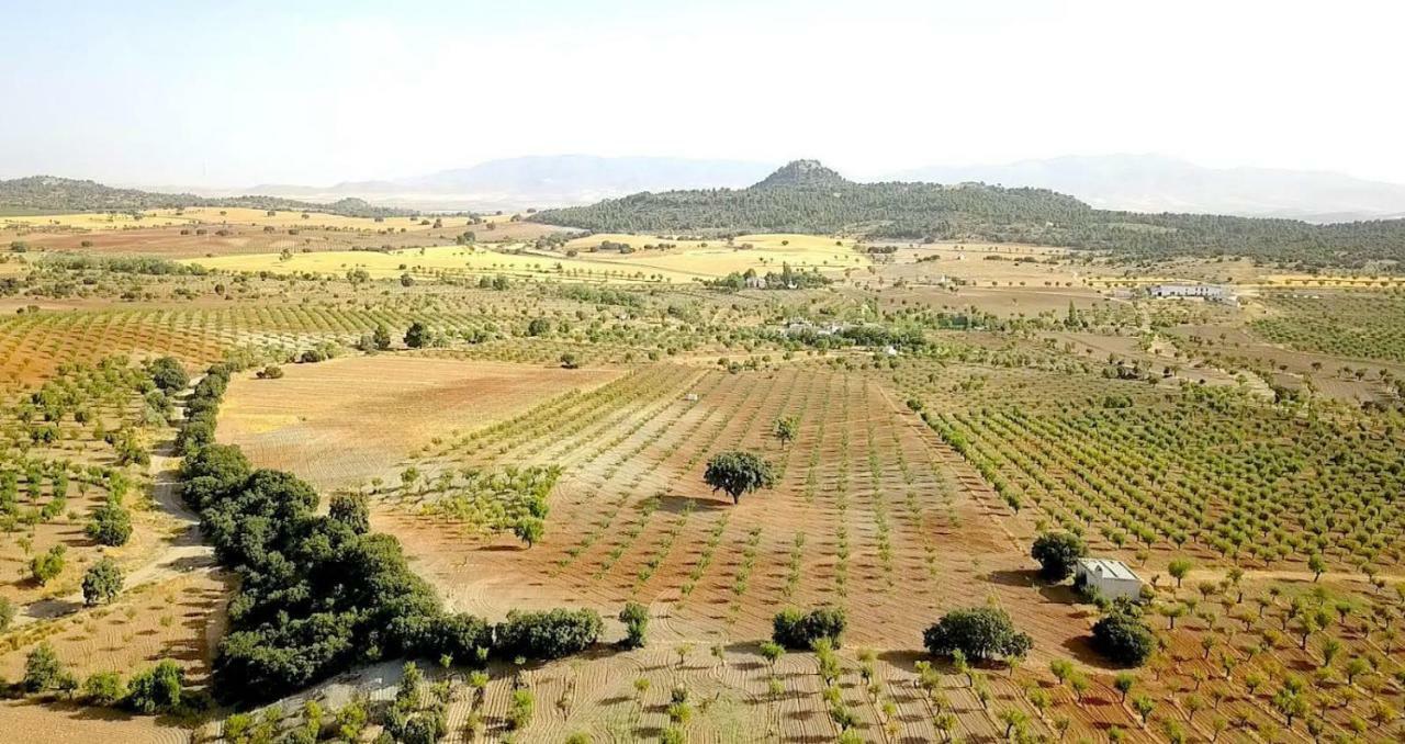 Cortijo Los Soledad El Sauco エクステリア 写真