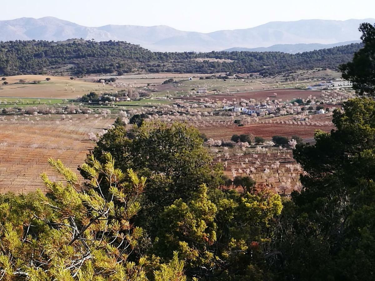 Cortijo Los Soledad El Sauco エクステリア 写真